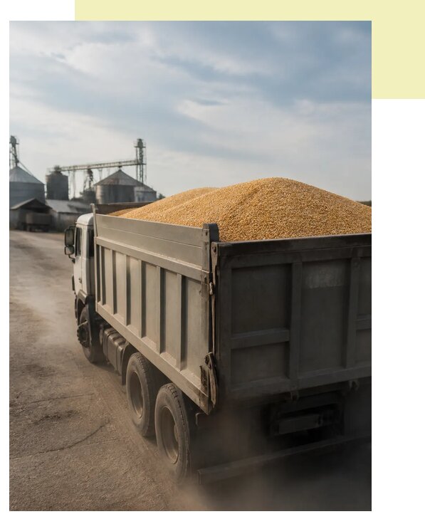 Перевозка сельхозпродукции навалом в Стрежевого по цене от 3059 р. | Агросервис-Стж